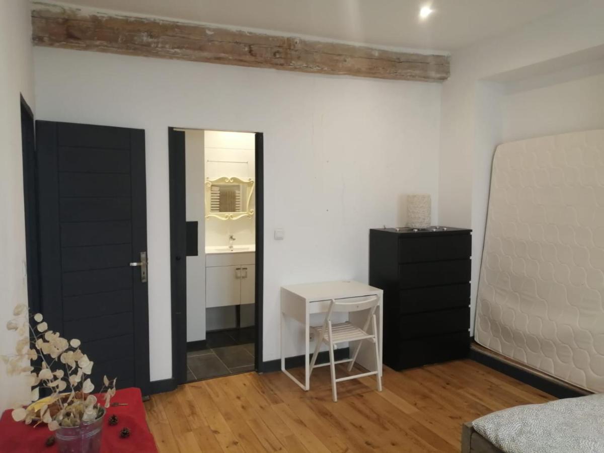 Loft Viarhona, Grand Loft En Centre-Ville Lyon Eksteriør bilde