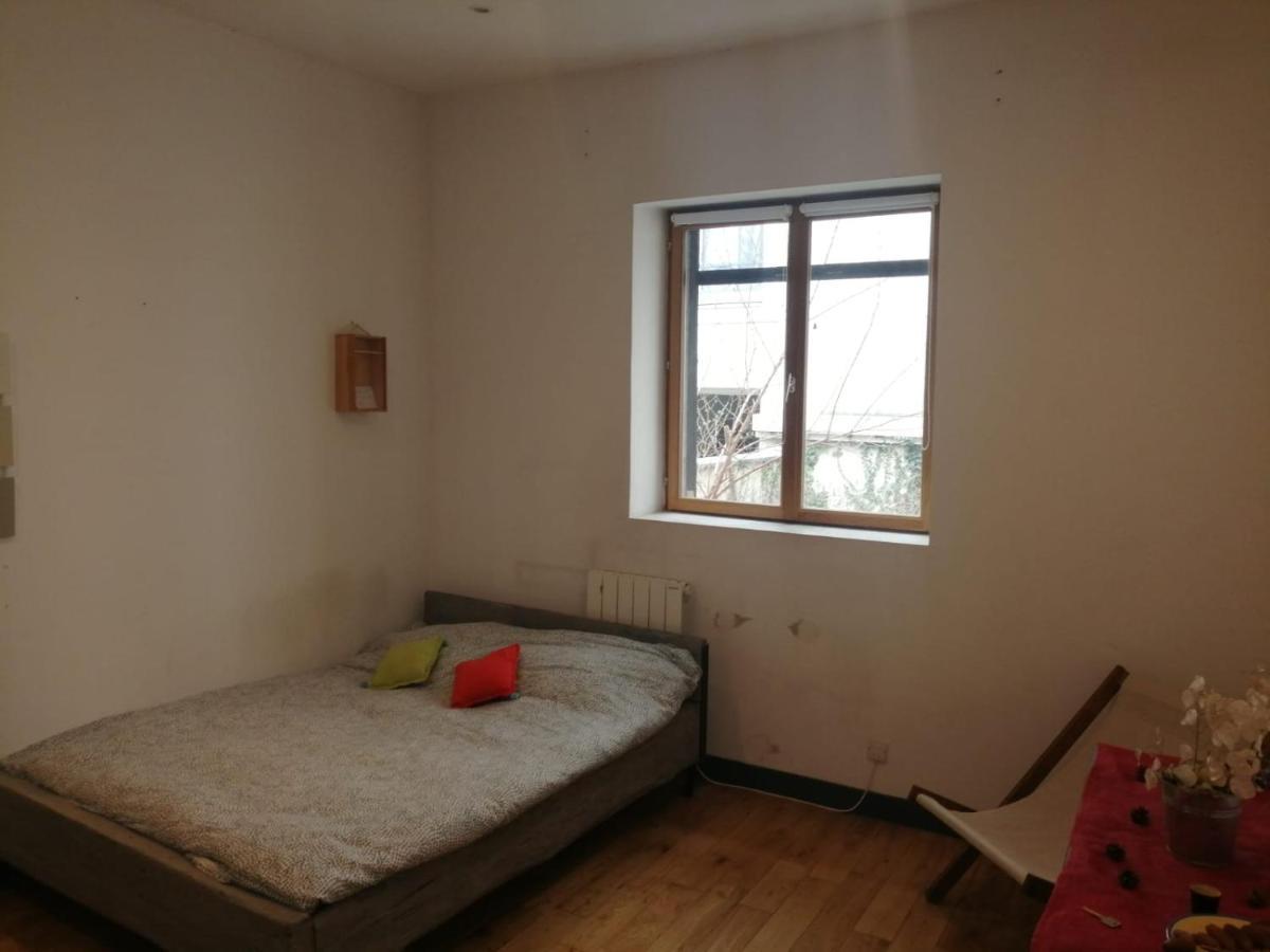 Loft Viarhona, Grand Loft En Centre-Ville Lyon Eksteriør bilde