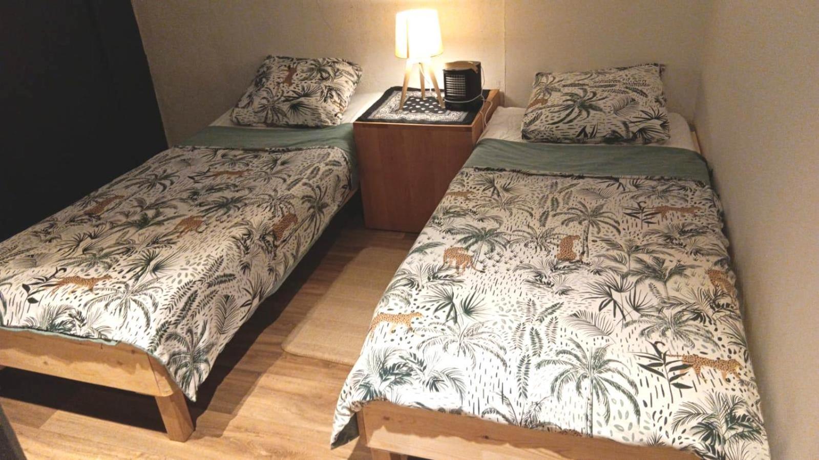 Loft Viarhona, Grand Loft En Centre-Ville Lyon Eksteriør bilde